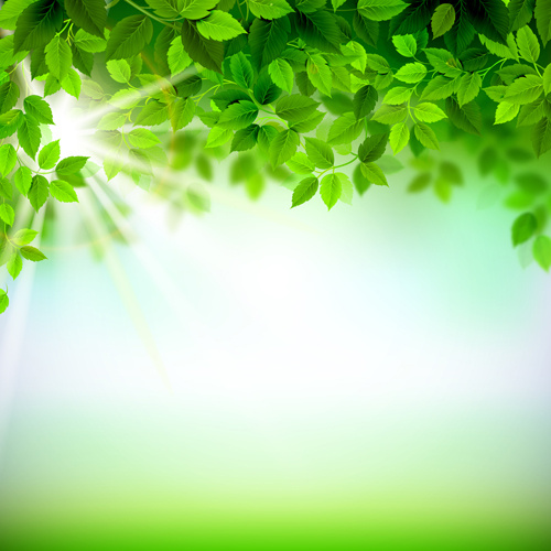 la luce del sole con foglie verdi brillanti sfondo vettore