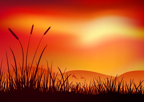schöner Sonnenuntergang Landschaften Vektor-Hintergrund