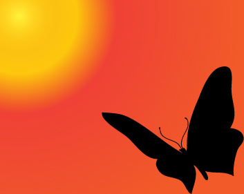 pôr do sol com vetor de silhueta borboleta