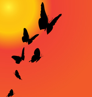 pôr do sol com vetor de silhueta borboleta