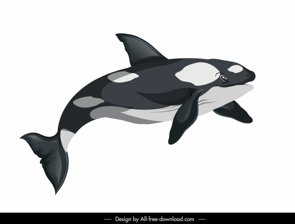 游泳鲸图标彩色卡通素描