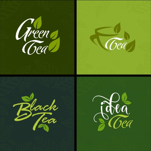 Tee-Werbung setzt grüne Blätter kalligraphischen Symbole Dekoration