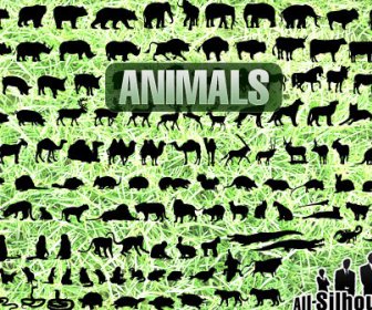 150 Verschiedene Tiere Silhouetten
