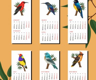 2020 Calendar Templates Nature Theme Bird Species Decor