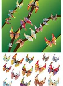 30 Abstrakte Zeichnung Festgelegten Vektor Schmetterling