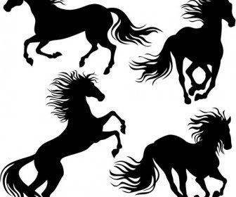 4 نوع حصان تشغيل ناقلات صورة ظلية