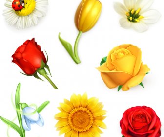 8 Beautiful Flowers Vector