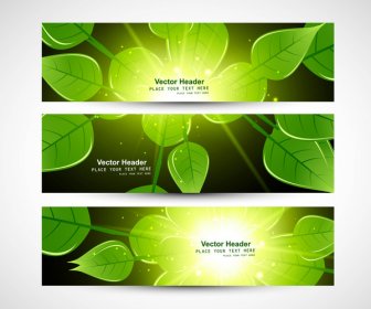 Abstract Bright Natural Eco Green Lives Header Vector Illustration