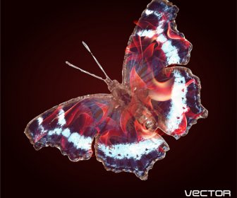 抽象的な蝶