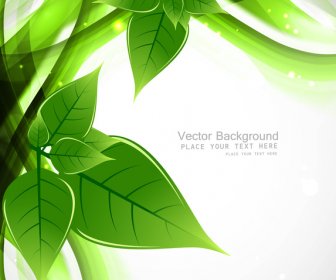 Conception De Vecteur Eco Abstrait Vert Vie Ligne Vague