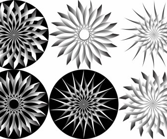 Abstract Flowers Sets Illustration In Black White