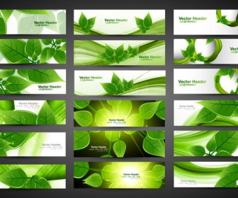 Conjunto De Eco Verde Abstracto De Vector Encabezados Diseño Ilustración