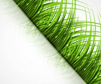Абстрактные зеленая трава летом с дизайн вектор отражения