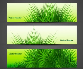 抽象綠草與反射頭向量設計