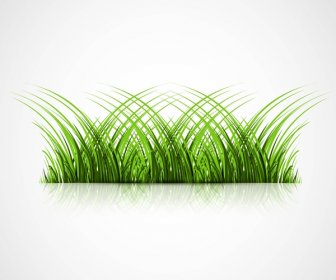 rumput hijau abstrak dengan refleksi vektor ilustrasi