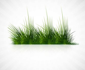 Hierba Verde Abstracta Con Ilustración De Fondo De Reflexión Vector Whit
