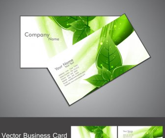 Abstract Green Lives Colorful Stylish Business Card Set Design Illustration