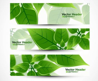 Abstract Header Natural Eco Green Lives Vector
