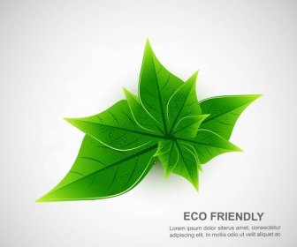 Abstrait Naturel Eco Vert Vit Fond Blanc Vector