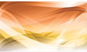 Abstract Orange Wave Style Free Vector Background