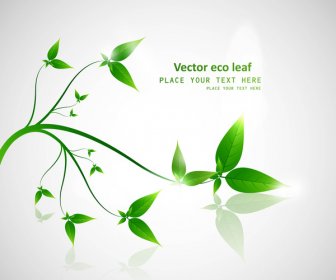 Conception De Vecteur Réflexion Abstraite Eco Brillant Vert Vie