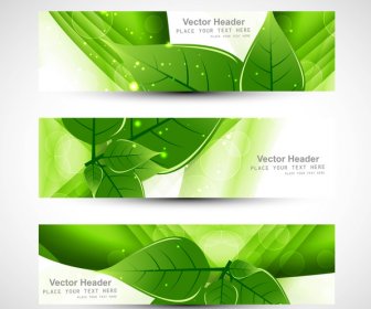 Abstrait Vecteur Naturel Eco Vert Vie En-tête Illustration Vectorielle Design