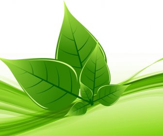Disegno Astratto Di Vettore Eco Naturale Verde Vita Onda Splendente