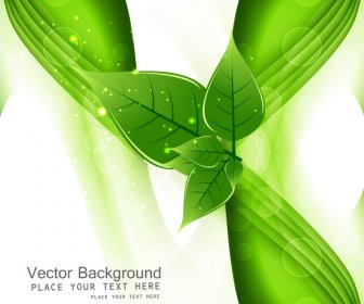 Abstract Vector Natural Eco Green Lives Wave Whit Background Vector