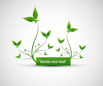 Abstract Vector Natural Frame Eco Green Lives Whit Background