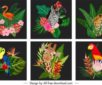 Africa Decor Templates Nature Elements Sketch Colorful Dark