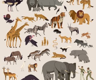 África Design Elementos Animais Espécies Coleção Explorador ícones