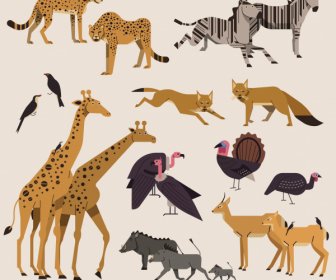Africa Wild Animals Icons Colored Classical Design
