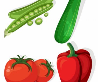 Agricultural Vegetables Icons Pea Cucumber Chili Tomato Sketch