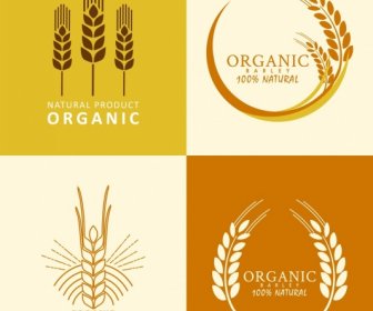 Сельское хозяйство продукт логотипы ячменя иконы плоский дизайн