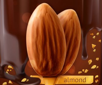 Almond Dengan Vektor Latar Belakang Coklat