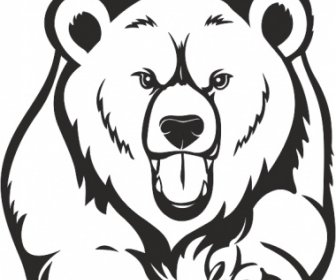 Rosto Irritado Urso Desenho Arte Vetores