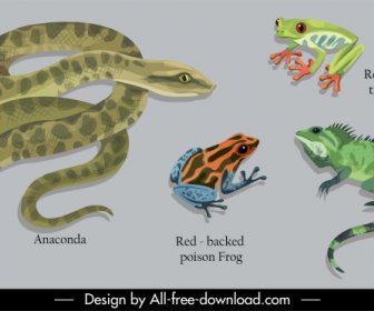องค์ประกอบการออกแบบการศึกษาสัตว์ Python Frog Iguana Sketch