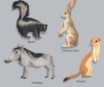 Educación Animal Elementos De Diseño Skunk Warthog Conejo Comadreja Boceto