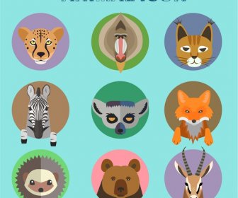 ícones De Animais Isolados Com Vários Tipos