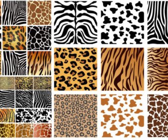 Tierische Textur-Hintergrund-Vektor-Grafiken