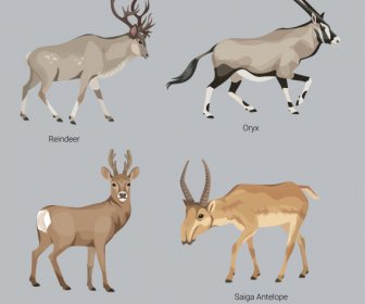 animals education icons cartoon hoof species sketch