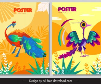 Animals Posters Peafowl Birds Icons Colorful Classic Design