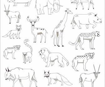 Animals Species Icons Black White Handdrawn Sketch