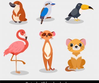 Animals Species Icons Colored Cartoon Sketch