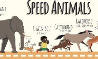 動物速度分析背景彩色卡通裝飾