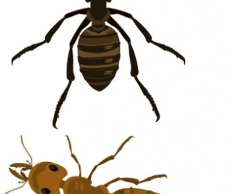 النمل المقربة الملونة الحديثة تصميم الخلفية