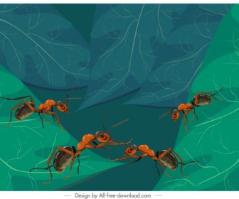 Ants Painting Colored Classic 3d Design