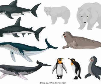 Animais árticos ícones Peixes Ursos Pinguim Esboço Foca
