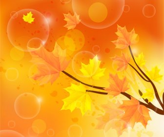 Herbstfarbe Mit Baum-Zweig Und Blatt-Hintergrund