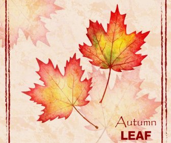 Autumn Leaf Maple Background
